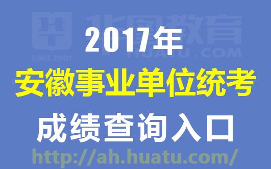 寧波找工作最新招聘女，機會與選擇并存