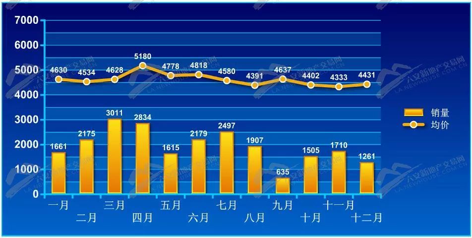 2024年11月15日 第26頁